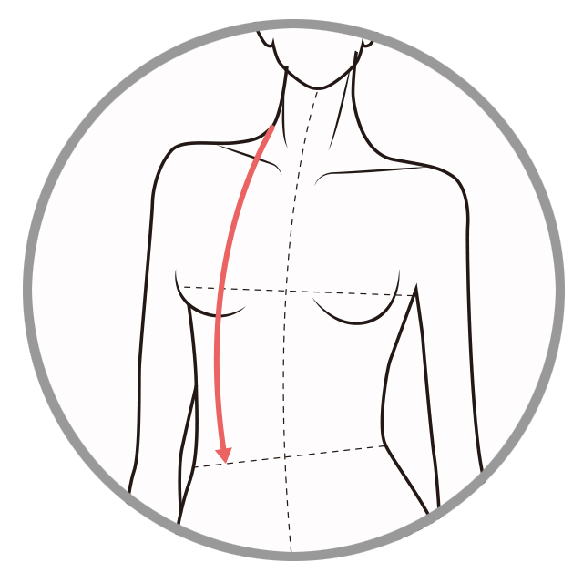 Shoulder to waist (Front)